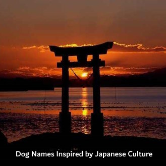 Sunset in Japanese with photo labeled Japanese Dog Names