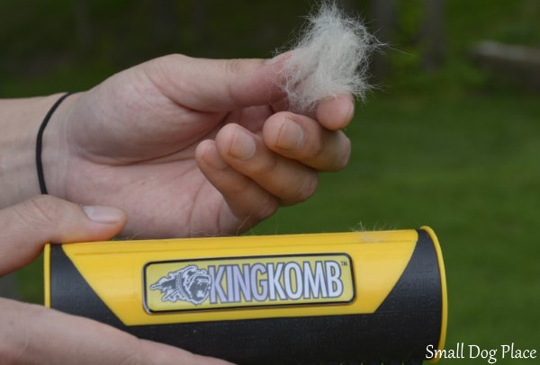 A man is holding a King Komb in one hand and a ball of dog hair in the other.