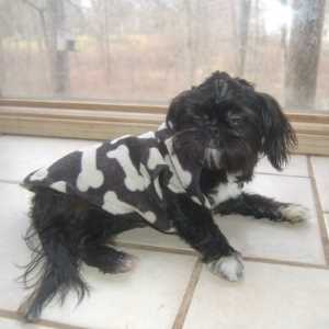 Springtime Safety Tips