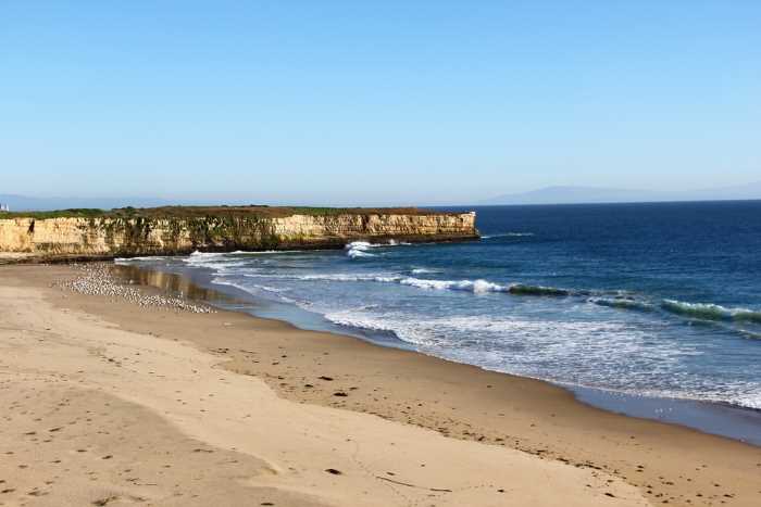 Mitchell’s Cove Beach