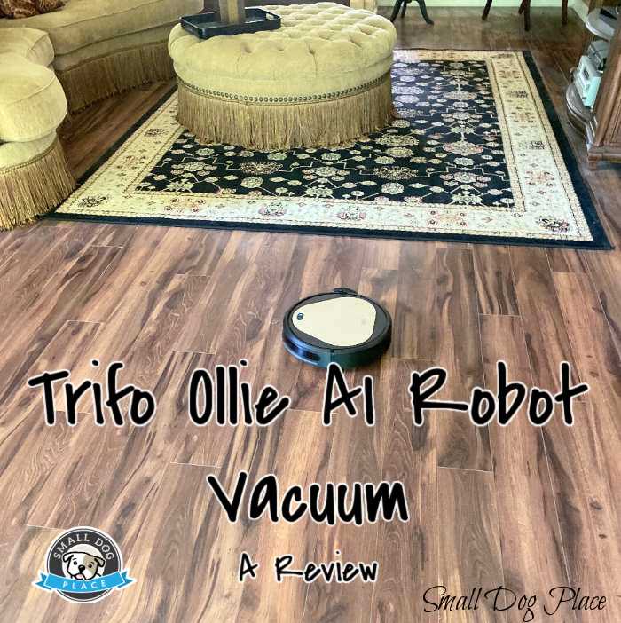 Ollie AI Robot Vacuum working in a large room