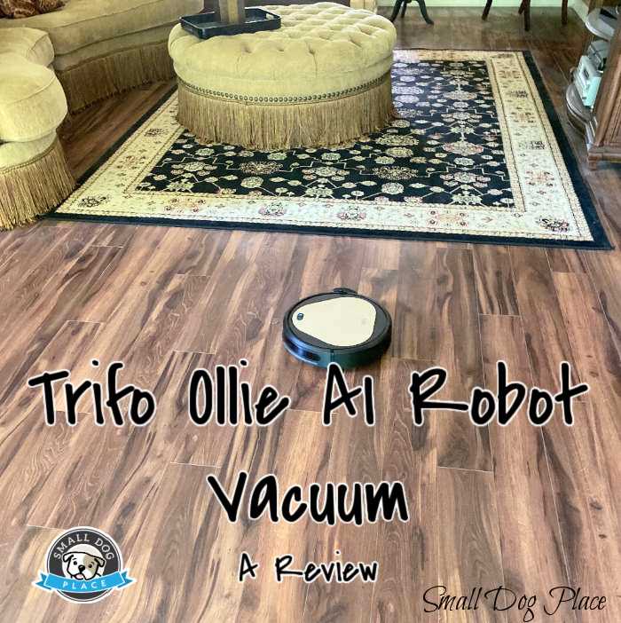 Trifo Ollie AI Robot Vacuum: A Review Ollie AI Robot Vacuum working in a large room