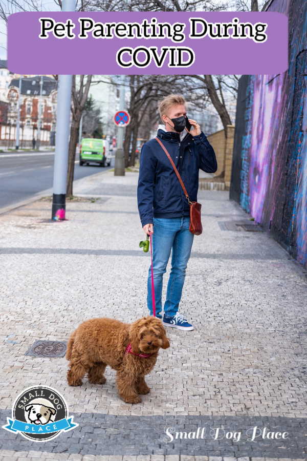 A man with a black face ask is walking his small dog