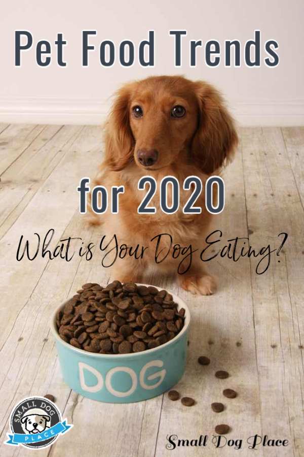 Pet food trends for 2020 Pin