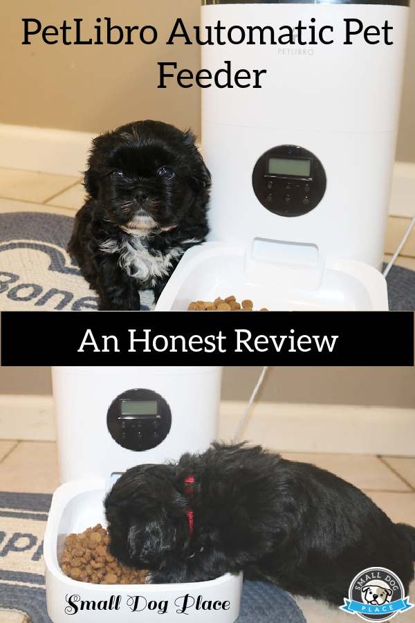 A pin showning two views of a black Shih Tzu puppy eating out of the PetLibro Automatic Pet Feeder