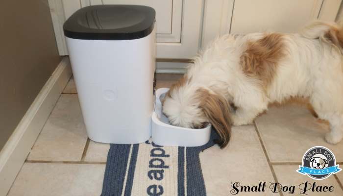 Petlibro Automatic Pet Feeder: An Honest Review Including Pros/Cons