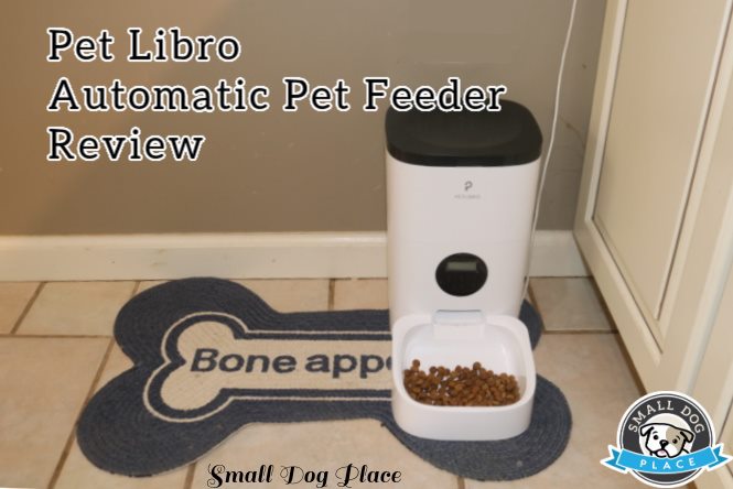 Headon view of a PetLibro Automatic Pet Feeder