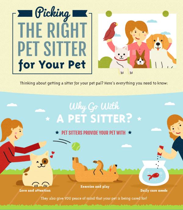 Pet Sitter 6 Important Questions To Ask Before You Engage