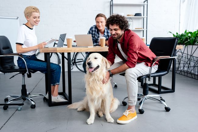 Pets at work can boost the morale of all employees.