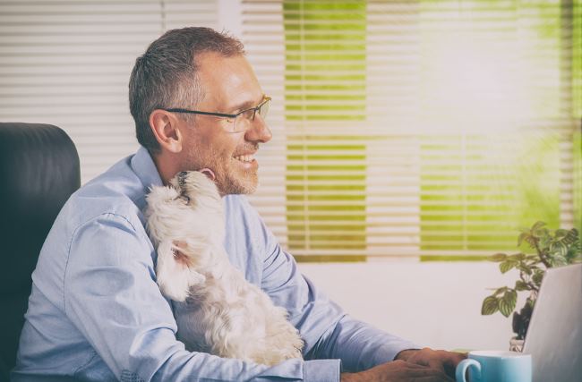 A man is holding his little white dog while working on his laptop.