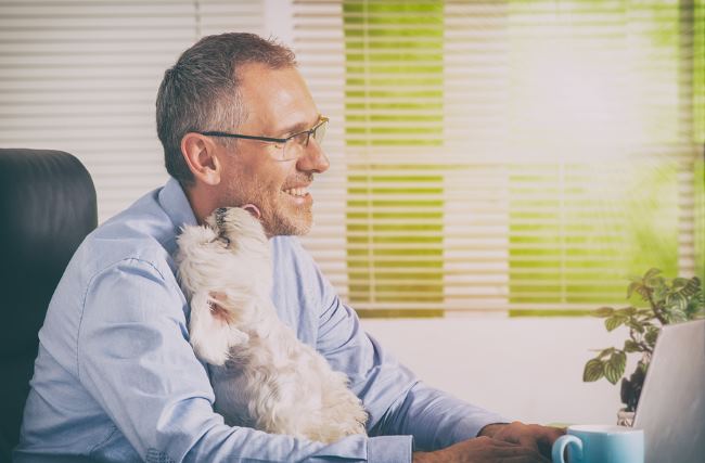 Healthy workers are more productive and pets at work can help.