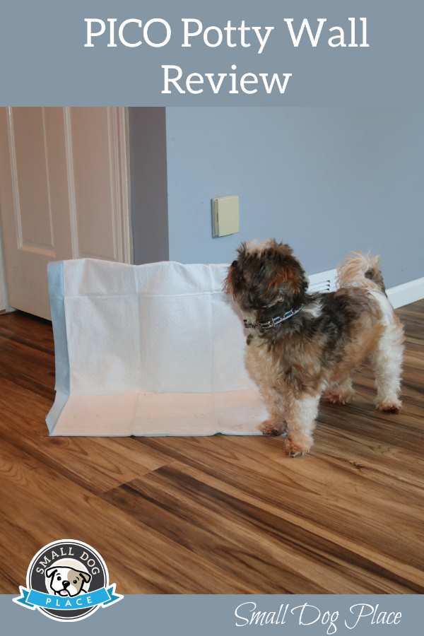 A small dog is getting ready to use the Pico Potty Wall