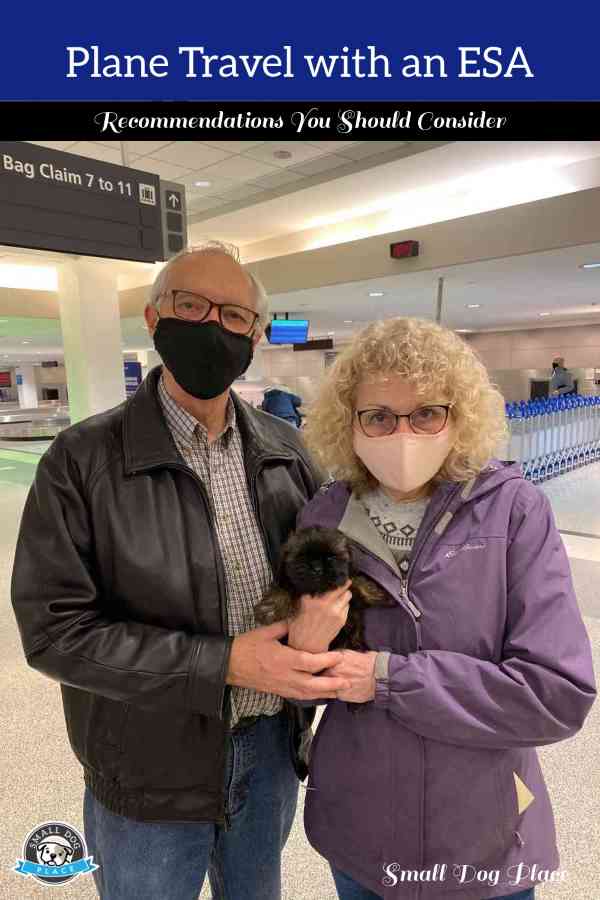 Couple with their ESA dog at an airport