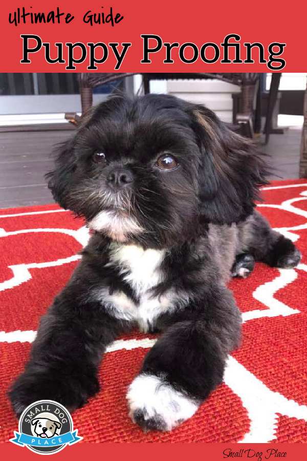 Puppy Proof Your Home Puppy Proof Your Home Pinnable Image