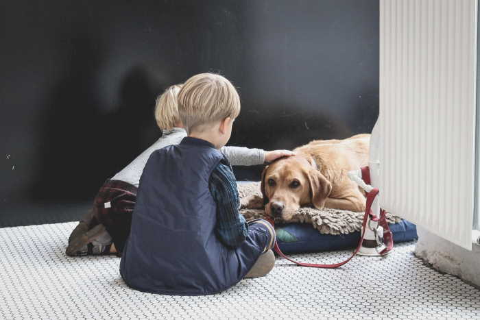 Two children are sitting near a dog