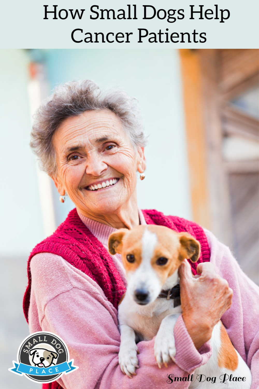 How small dogs help cancer patients Pinnable image