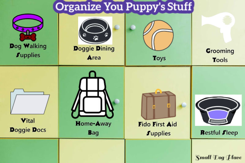Organize Your Puppy Stuff