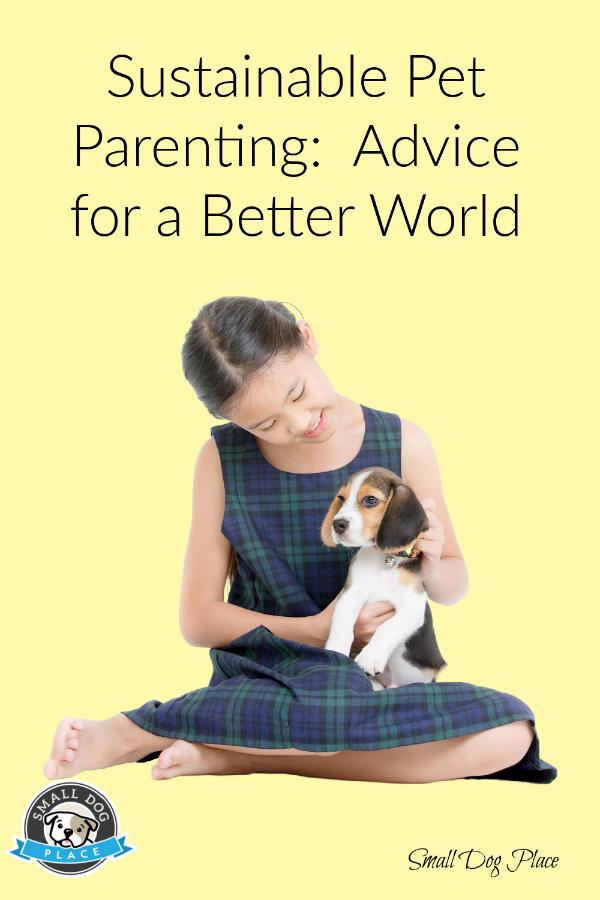 Sustainable pet parenting pin image Sustainable pet parenting pin image