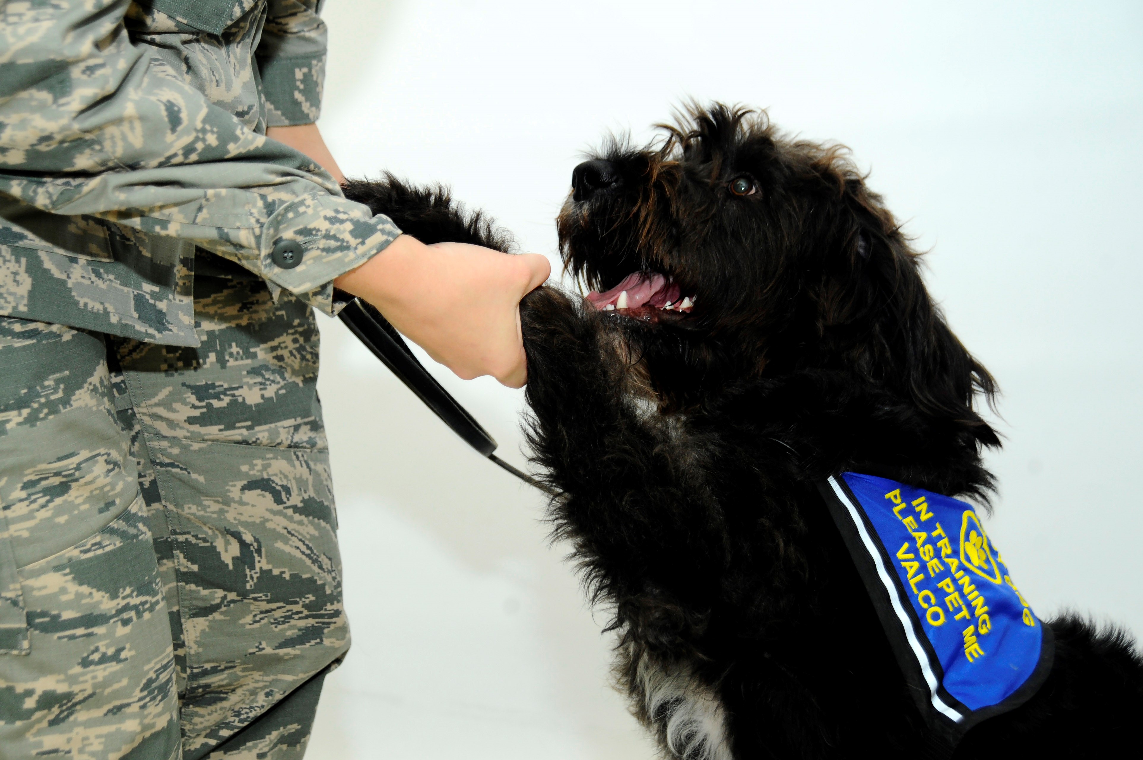 A small black dog and his trainer