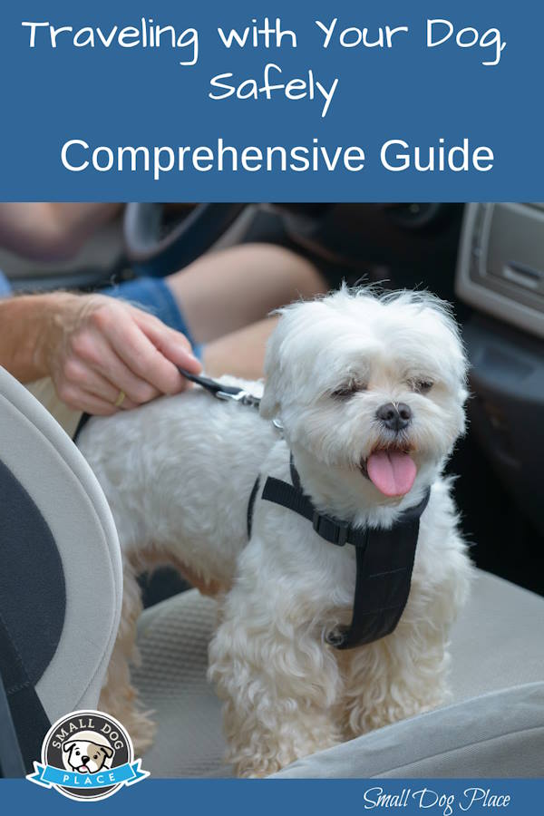 Traveling with your dog safely, pin image