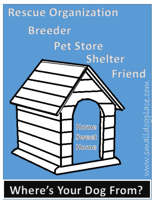 Where to get a dog?  Rescue, Shelters, Breeders?  Infographic