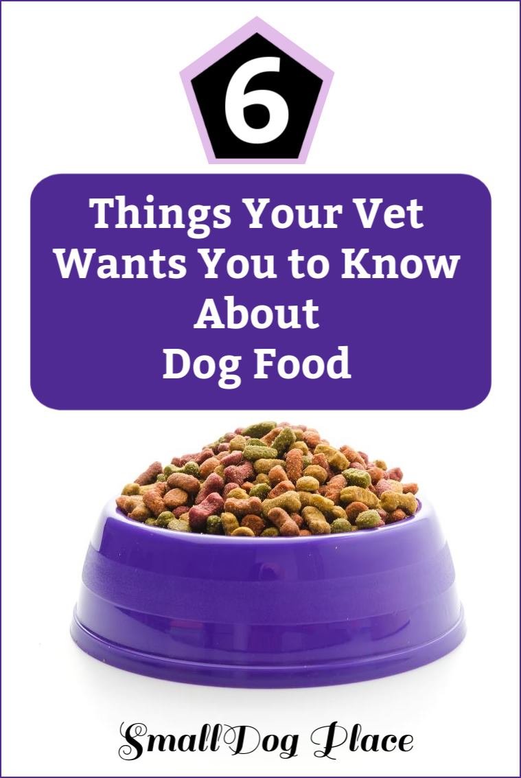 6 Things Your Vet Wants You to Know About Dog Food Pin