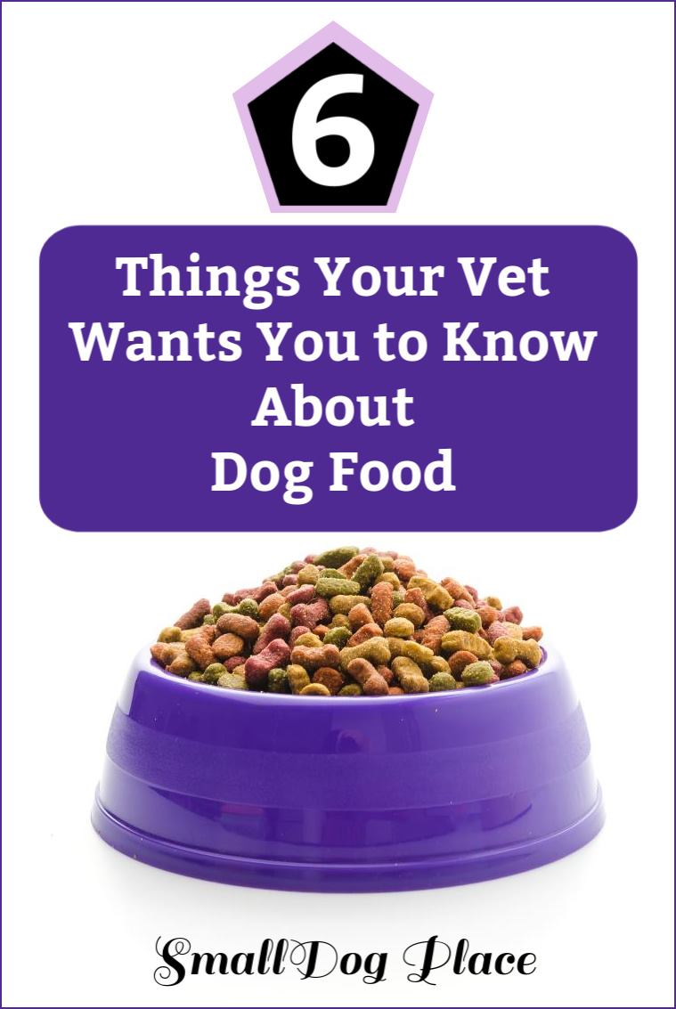 6 Things Your Vet Wants You to Know About Dog Food Pin