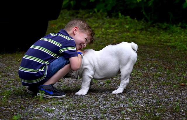 Benefits of Animal Therapy For Autism Benefits of Animal Therapy For Autism