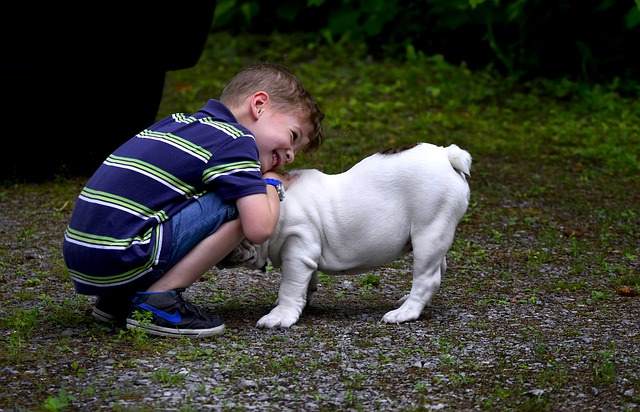 A young boy hugging a dog