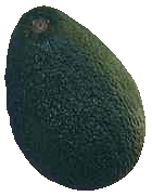 Avocado Avocado