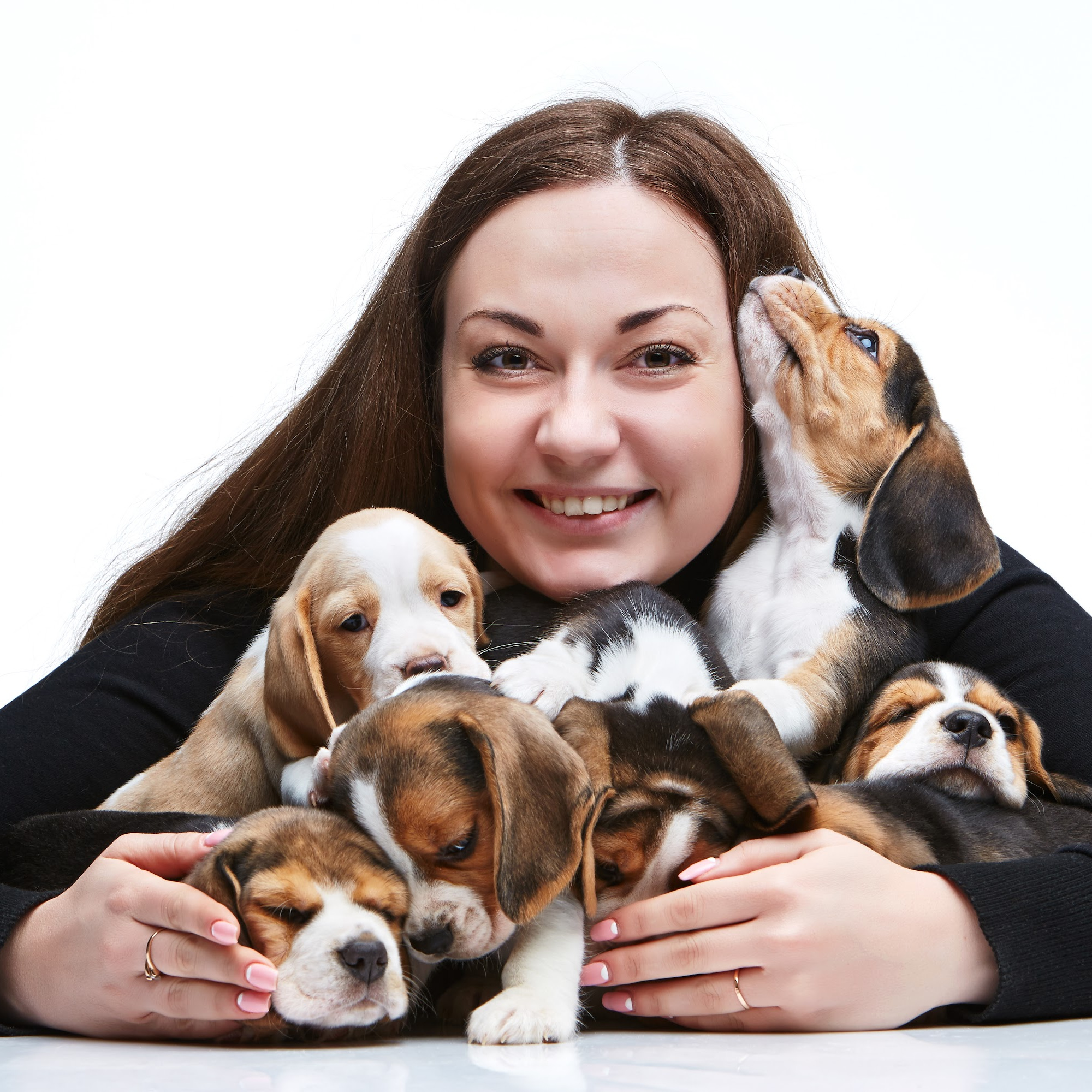 A Young Woman posing with a litter of young Beagle puppies