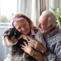 Best for Seniors and retirees link