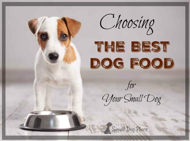 best dog food for your puppy