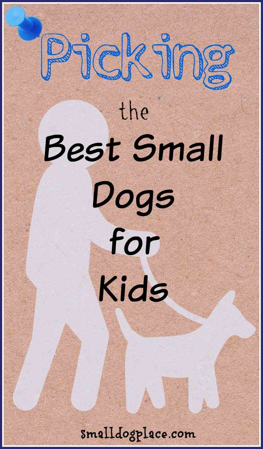 Choosing the Best Small Dog Breed for Kids