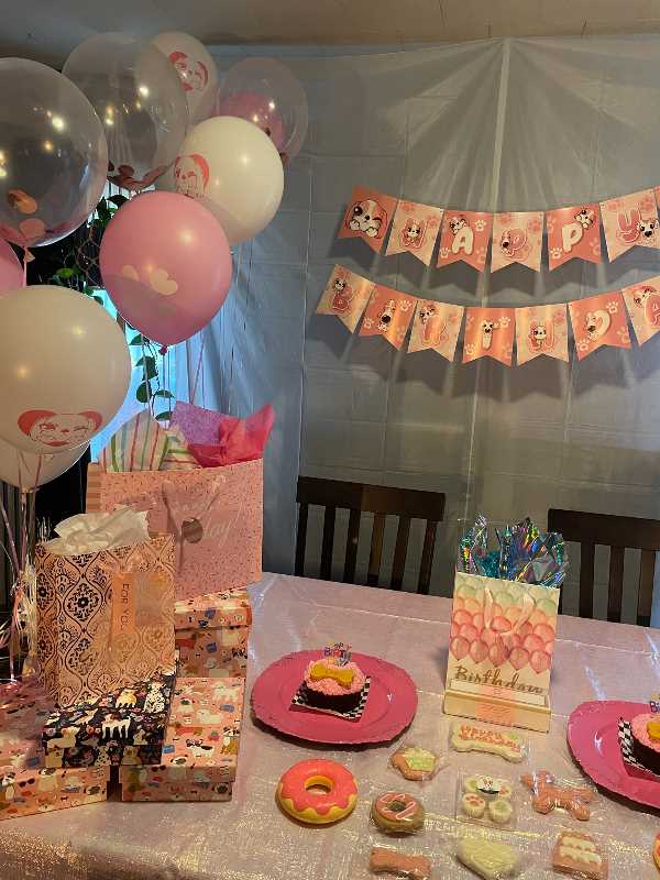 Room decorated for a dog birthday party