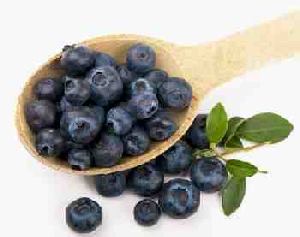Fruits ad Vegetables for Dogs:  Blueberries