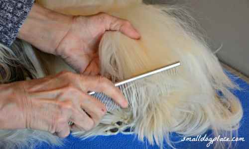 dog comb for long hair