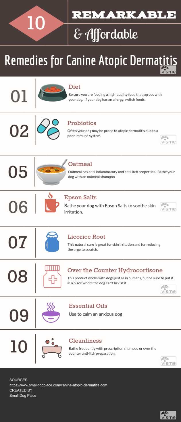 Canine Atopic Dermatitis: 10 Remarkable and Affordable Remedies Pin