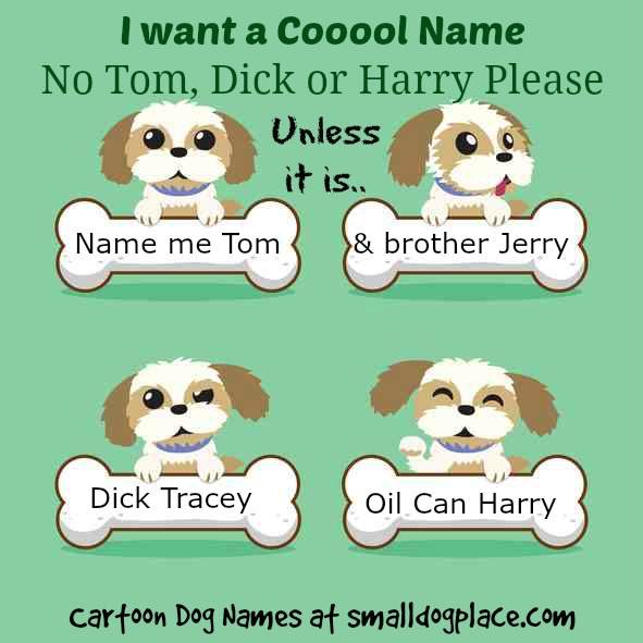 Clever Cartoon Dog Names For Your New Pup Or Dog