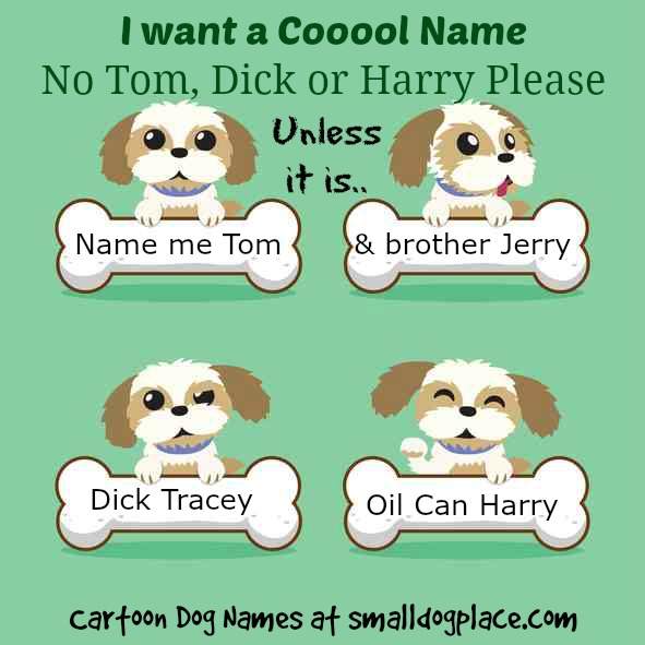 Clever Cartoon Dog Names for Your New Pup or Dog