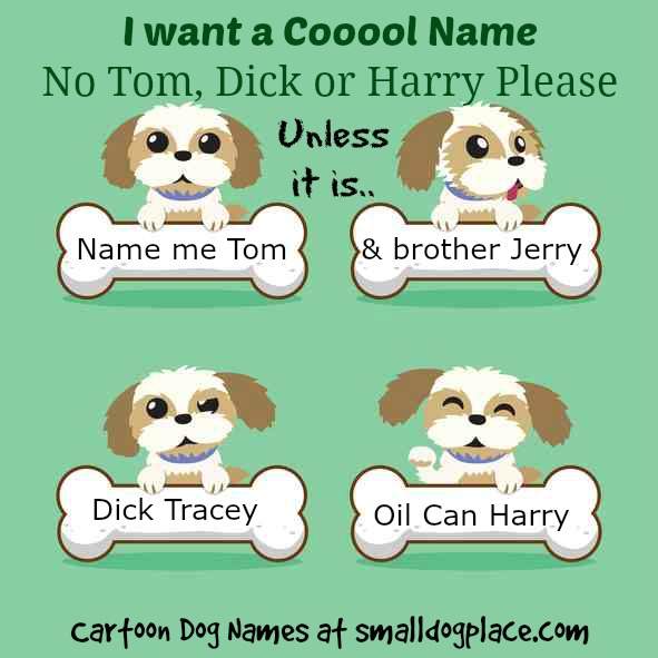 unusual boy dog names