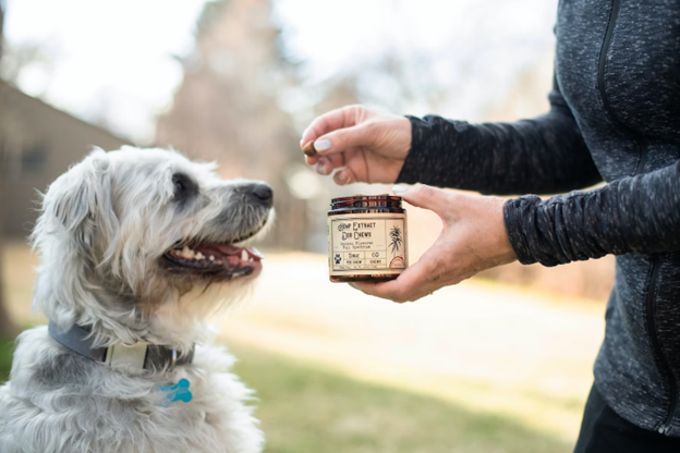 A dog is being given a dog treat that contains CBD