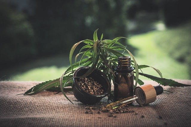 CBD as an alternative to prednisone for dogs CBD as an alternative to prednisone for dogs