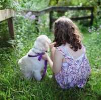 Best for Children link