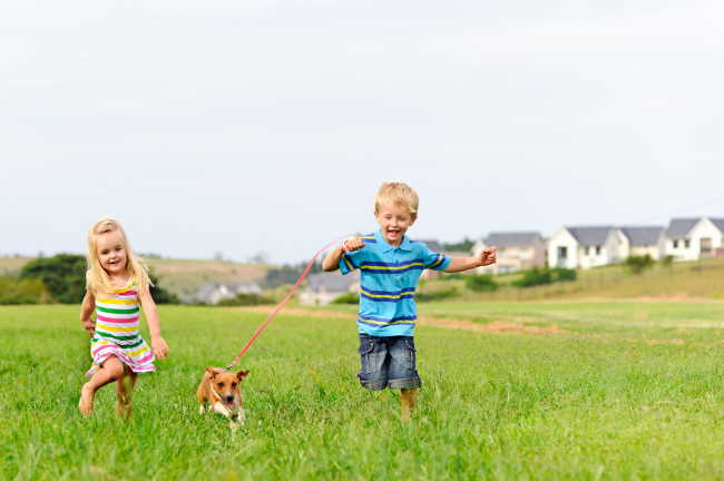 A young boy and girl are running in a field of tall grass with their little dog.