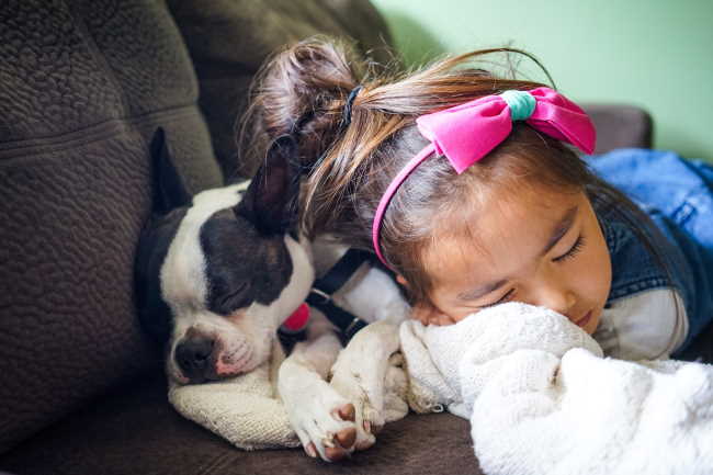 A young girl is asleep next to her dog.