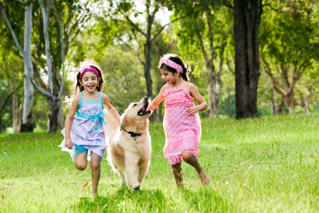 Two girls are running with their Golden Retriever in a grassy field.