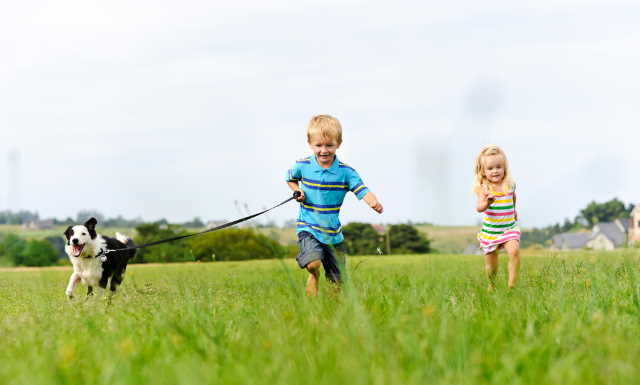 Two children are running in a field with a dog on a leash