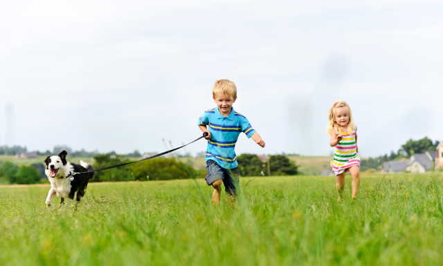 Two children running in a field with a dog.