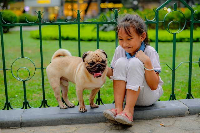 A young child and her pug dog.